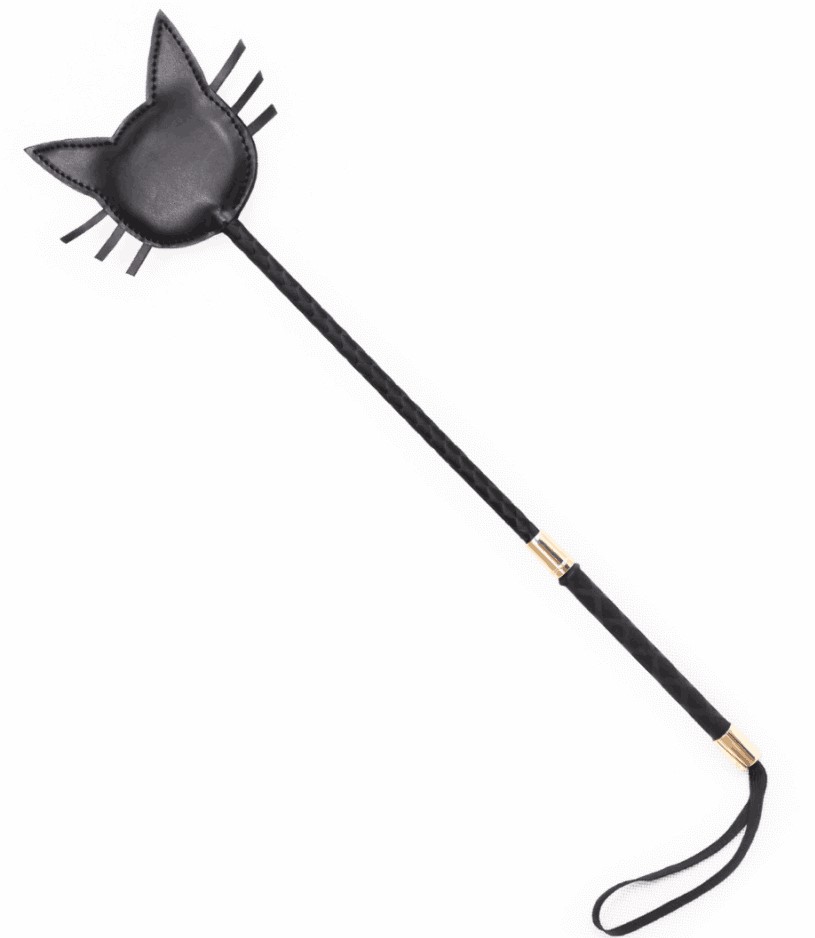 Cat - Paddle