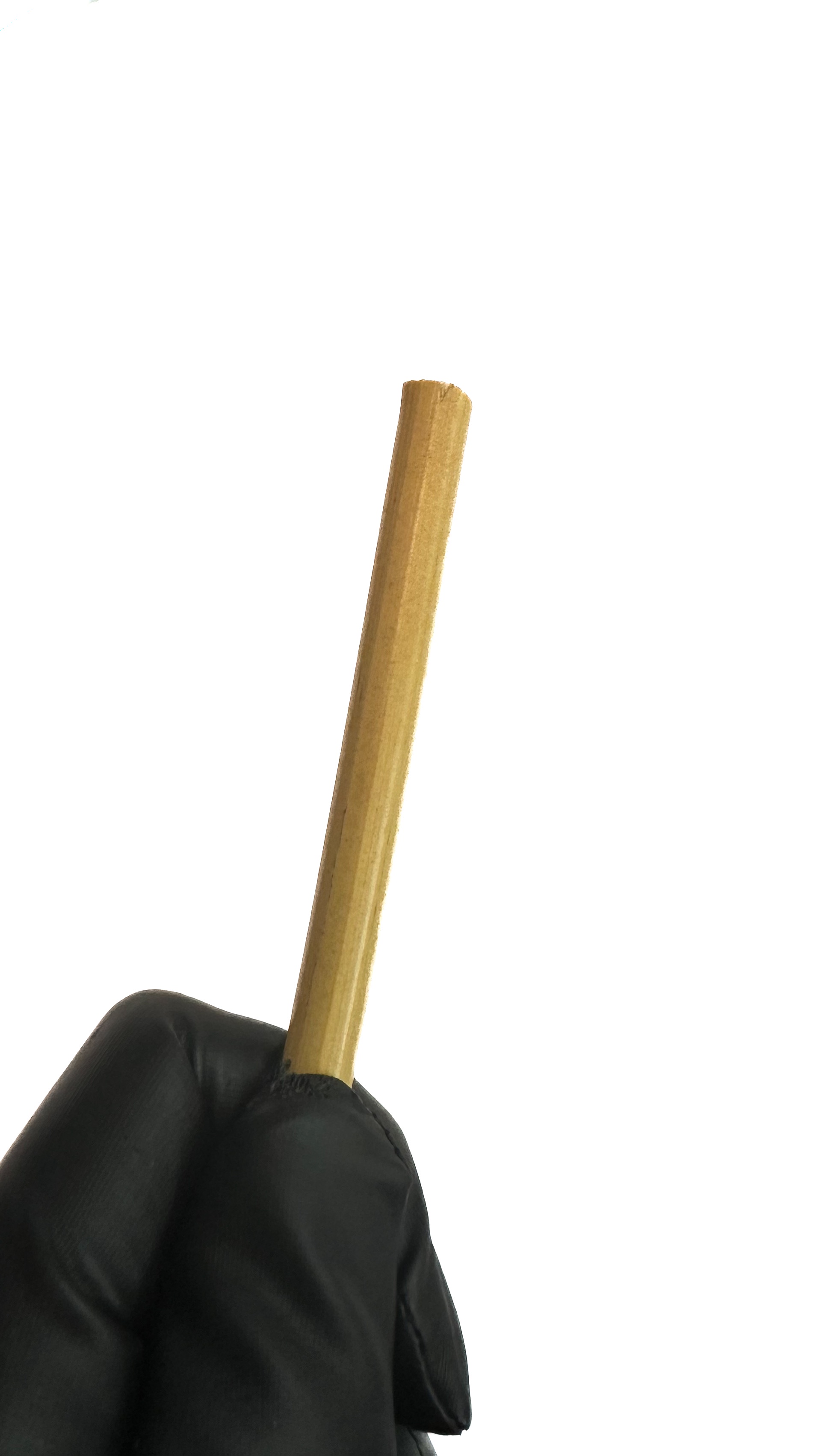 Cane unbehandelt, ungeschält, ca. 8 mm dick, Länge ca. 50 cm